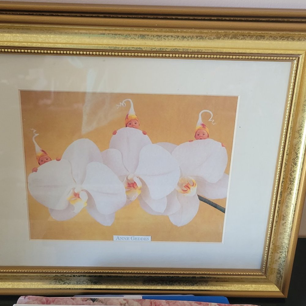 Anne Geddes Framed Pictures and Books